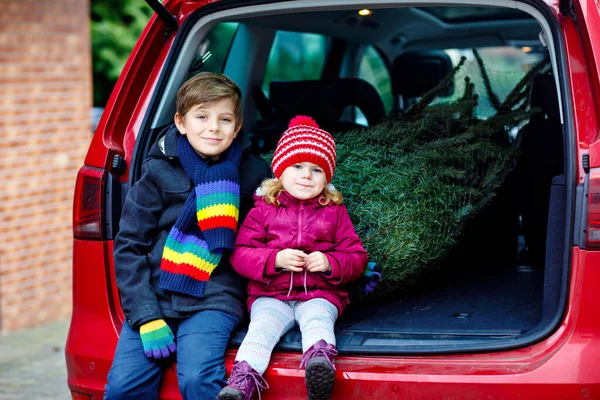 Menina pequena adorável da criança e menino da escola com árvore de Natal dentro do carro da família. Crianças saudáveis felizes em roupas de moda de inverno comprando grande árvore de Natal para a celebração tradicional. — Fotografia de Stock