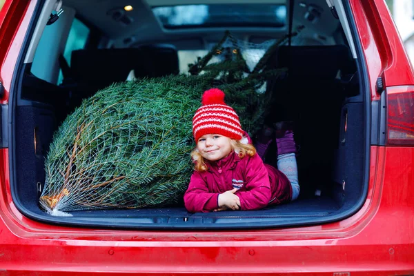 Entzückendes kleines Mädchen mit Weihnachtsbaum im Auto der Familie. Frohes gesundes Baby in Wintermode Kleidung auswählen und kaufen großen Weihnachtsbaum für traditionelle Feier. — Stockfoto