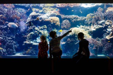 İki oğlan ve küçük kız birlikte hayvanat bahçesi akvaryumunu geziyorlar. Üç çocuk balık ve denizanalarını izliyor. Okullu çocuklar pandemik korona virüsü yüzünden maske takıyor. Aile tatilde.