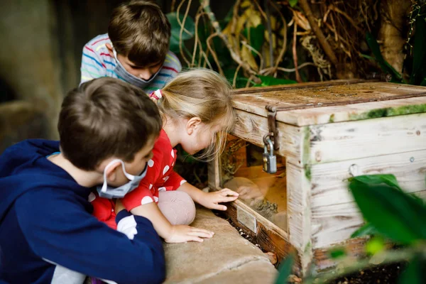 Två barn pojkar och småbarn flicka besöker tillsammans zoo. Tre barn tittar på djur och insekter. Skolpojkar bär medicinska masker på grund av pandemisk koronavirustid. Familj som stannar kvar — Stockfoto