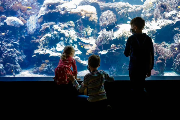 Dos chicos y una niña visitando juntos el acuario del zoológico. Tres niños observando peces y medusas. Los chicos de la escuela llevan máscaras médicas debido a la pandemia del virus corona. Familia en estadía — Foto de Stock