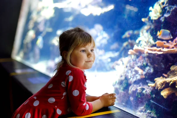 Carina bambina in visita all'acquario dello zoo. Bambino felice guardando pesci e meduse, coralli. Affascinato bambino con fauna selvatica di mare profondo. — Foto Stock