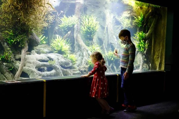 Kid boy and toddler girl visiting together zoo aquarium. Two children watching fishes, corals and jellyfishes. School child wearing medicals masks due pandemic corona virus time. Family on staycation — Stock Photo, Image