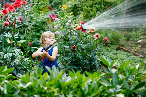 Gadis kecil cantik yang sedang menyiram bunga dengan selang air di musim panas. Anak yang bahagia membantu di kebun keluarga, di luar ruangan, bersenang-senang dengan percikan — Stok Foto