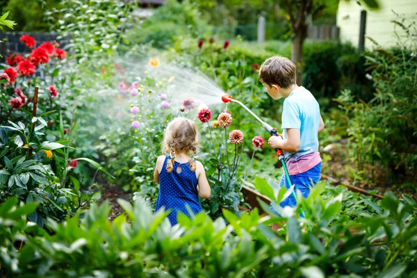 夏の日に水のホースで庭の花に水をやる美しい小さな幼児の女の子と学校の少年。2人の幸せな子供、かわいい兄弟は家族の庭、屋外で助け合い、飛び散るのを楽しんでいます — ストック写真