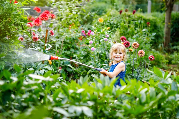 Piękne małe dziecko dziewczyna podlewania kwiatów ogrodowych z wężem wodnym w letni dzień. Szczęśliwe dziecko pomaga w ogrodzie rodzinnym, na świeżym powietrzu, zabawy z plusk — Zdjęcie stockowe