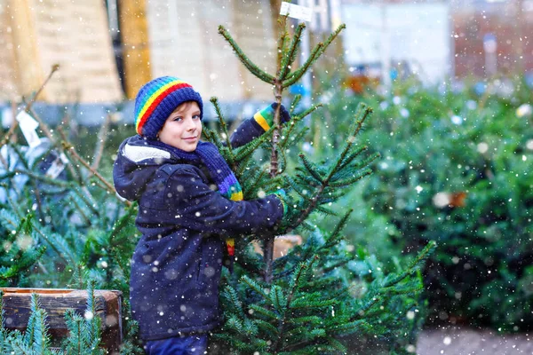 Adorable little smiling kid boy holding Christmas tree on market. Happy healthy child in winter fashion clothes choosing and buying big Xmas tree in outdoor shop. Family, tradition, celebration. — Stock Photo, Image