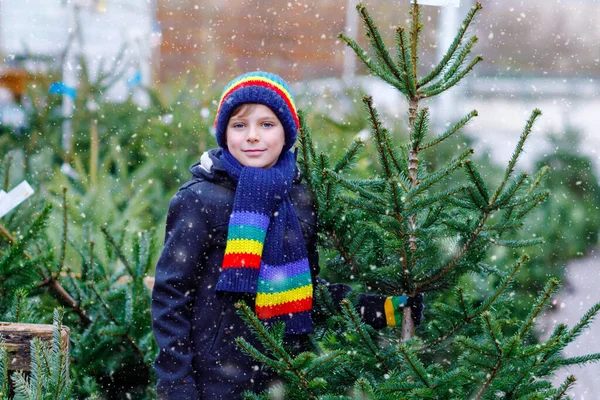 Piyasada Noel ağacı tutan sevimli, gülümseyen çocuk. Açık hava dükkanından büyük bir Xmas ağacı seçen ve satın alan kışın giydiği sağlıklı çocuk. Aile, gelenek, kutlama. — Stok fotoğraf