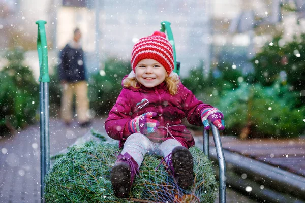 Entzückende kleine Mädchen mit Weihnachtsbaum auf Einkaufswagen oder Einkaufswagen auf dem Markt. Frohes gesundes Baby in Wintermode Kleidung auswählen und kaufen großen Weihnachtsbaum im Outdoor-Shop. — Stockfoto