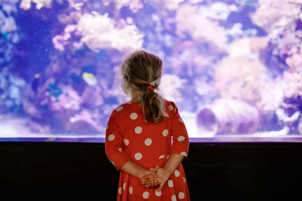 Cute little toddler girl visiting zoo aquarium. Happy baby child watching fishes and jellyfishes, corals. Fascinated child with deep sea wildlife. — Stock Photo, Image