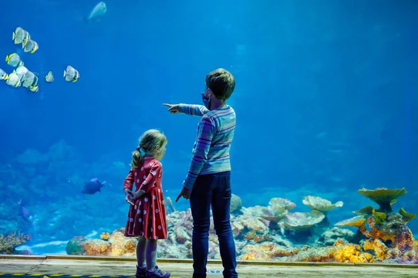 Kid boy and toddler girl visiting together zoo aquarium. Two children watching fishes, corals and jellyfishes. School child wearing medicals masks due pandemic corona virus time. Family on staycation — Stock Photo, Image