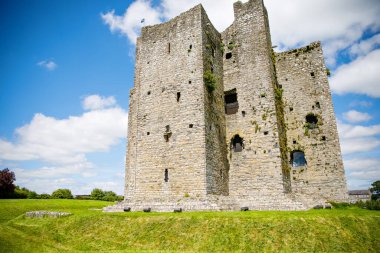 İrlanda, Boyne Nehri 'ndeki County Meath' deki Trim kalesinin panoramik görüntüsü. İrlanda 'daki en büyük Anglo-Norman kalesidir.