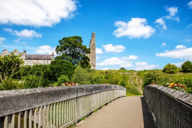 İrlanda, Boyne Nehri 'ndeki County Meath' deki Trim kalesinin panoramik görüntüsü. İrlanda 'daki en büyük Anglo-Norman kalesidir.