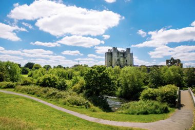 İrlanda, Boyne Nehri 'ndeki County Meath' deki Trim kalesinin panoramik görüntüsü. İrlanda 'daki en büyük Anglo-Norman kalesidir.
