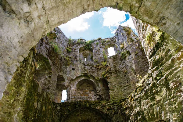 A panoramic view of Trim castle in County Meath on the River Boyne, Ireland. It is the largest Anglo-Norman Castle in Ireland — Stock Photo, Image