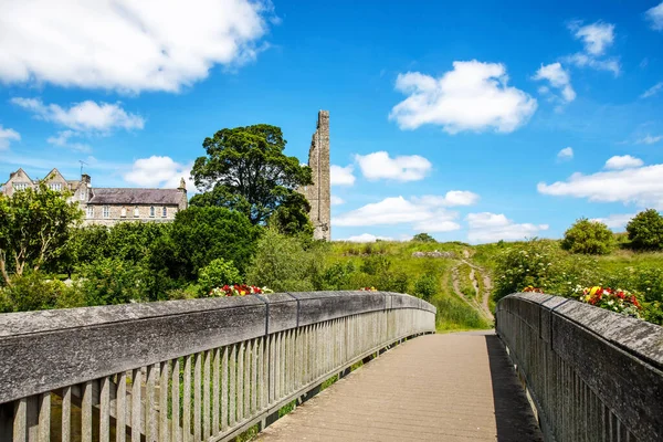 İrlanda, Boyne Nehri 'ndeki County Meath' deki Trim kalesinin panoramik görüntüsü. İrlanda 'daki en büyük Anglo-Norman kalesidir.