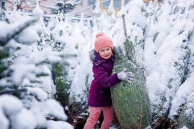 Noel ağacı pazarından alışveriş yapan sevimli küçük bir kız çocuğu. Kışlık giysiler içinde mutlu bir çocuk Noel pazarında Noel ağacı tutuyor ve seçiyor. Kış karlı günlerde arka planda ışıklar var..