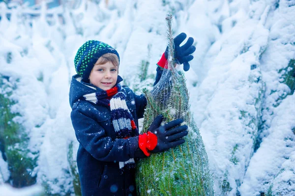 Funny little smiling kid boy holding christmas tree. Happy child in winter fashion clothes choosing and buying xmas tree in outdoor shop on snowy winter day. Family, tradition, celebration. — Stock Photo, Image