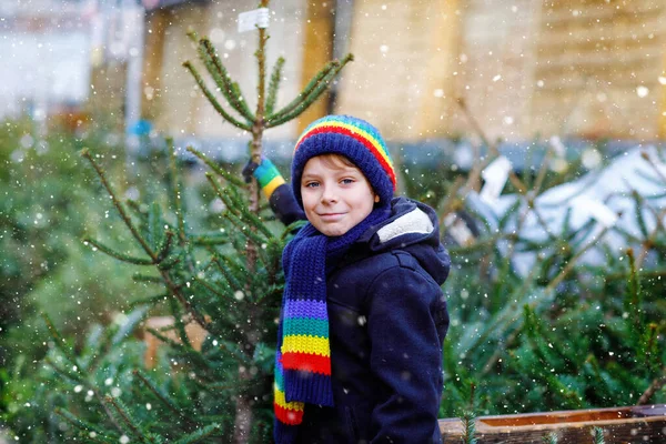 Adorable niño sonriente sosteniendo el árbol de Navidad en el mercado. Feliz niño sano en ropa de moda de invierno elegir y comprar gran árbol de Navidad en la tienda al aire libre. Familia, tradición, celebración. — Foto de Stock