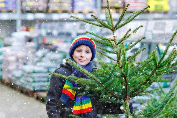 Adorable niño sonriente sosteniendo el árbol de Navidad en el mercado. Feliz niño sano en ropa de moda de invierno elegir y comprar gran árbol de Navidad en la tienda al aire libre. Familia, tradición, celebración. —  Fotos de Stock