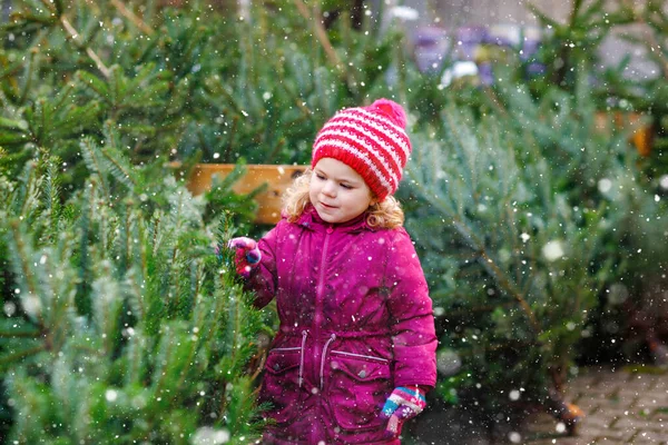 Adorable little toddler girl holding Christmas tree on market. Happy healthy baby child in winter fashion clothes choosing and buying big Xmas tree in outdoor shop. Family, tradition, celebration. — Stock Photo, Image