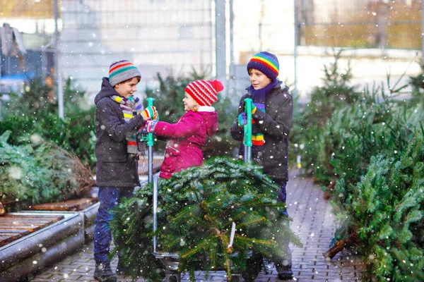 Üç küçük kardeş: küçük kız ve iki çocuk Noel ağacını markette tutuyorlar. Kışlık giysiler içindeki mutlu çocuklar açık hava dükkanından ağaç seçip alıyorlar. Aile, gelenek, kutlama — Stok fotoğraf