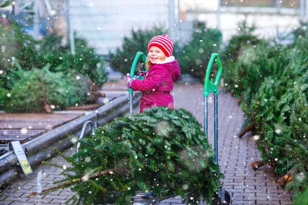 Adorable little toddler girl with Christmas tree on shopping cart or trolley on market. Happy healthy baby child in winter fashion clothes choosing and buying big Xmas tree in outdoor shop. — Stock Photo, Image