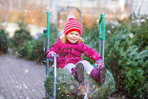 Adorable little toddler girl with Christmas tree on shopping cart or trolley on market. Happy healthy baby child in winter fashion clothes choosing and buying big Xmas tree in outdoor shop. — Stock Photo, Image