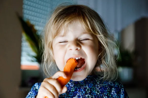 Милая очаровательная малышка держит и кусает свежую морковку. Злобный ребенок со здоровой закуской. Улыбающийся счастливый ребенок ест биоорганические овощи — стоковое фото