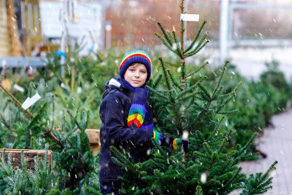 Adorable niño sonriente sosteniendo el árbol de Navidad en el mercado. Feliz niño sano en ropa de moda de invierno elegir y comprar gran árbol de Navidad en la tienda al aire libre. Familia, tradición, celebración. —  Fotos de Stock