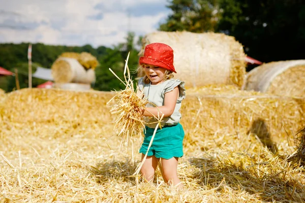 小さな幼児の女の子は、干し草の山やベールで走ったりジャンプしたりして楽しんでいます。藁で遊ぶ面白い幸せな健康な子供。暖かい夏の日に子供たちと積極的な屋外レジャー。子供と自然 — ストック写真