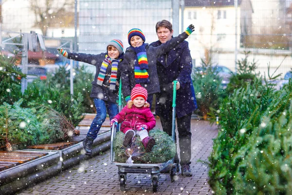 Niña, dos niños y padre sosteniendo el árbol de Navidad en el mercado. Familia feliz, niños lindos y hombre de mediana edad en ropa de moda de invierno elegir y comprar árbol de Navidad en la tienda al aire libre. —  Fotos de Stock