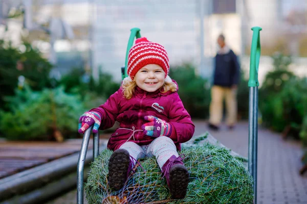 Entzückende kleine Mädchen mit Weihnachtsbaum auf Einkaufswagen oder Einkaufswagen auf dem Markt. Frohes gesundes Baby in Wintermode Kleidung auswählen und kaufen großen Weihnachtsbaum im Outdoor-Shop. — Stockfoto