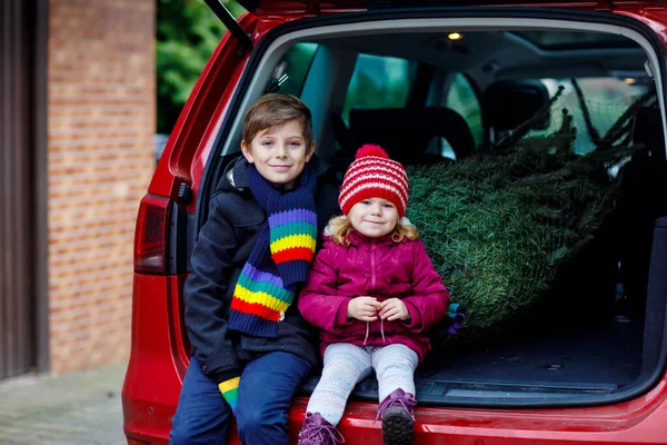 Imádnivaló kislány és iskolás fiú karácsonyfával a családi autóban. Boldog egészséges gyerekek téli divat ruhák vásárol nagy karácsonyfa a hagyományos ünnep. — Stock Fotó