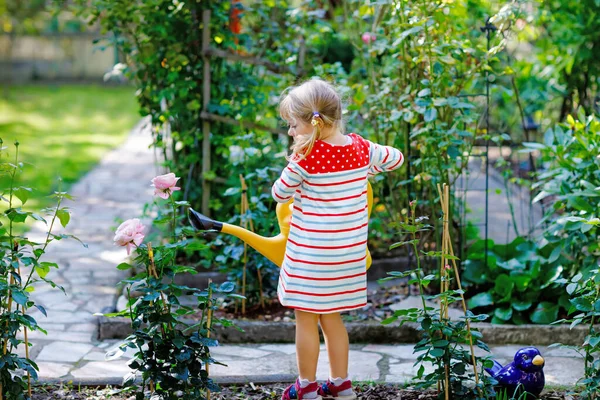 Όμορφο μικρό κοριτσάκι σε κόκκινο πολύχρωμο φόρεμα πότισμα λουλούδια ανθίζοντας τριαντάφυλλα με τα παιδιά νερό μπορεί. Ευτυχισμένο παιδί βοηθά στον οικογενειακό κήπο, σε εξωτερικούς χώρους σε ζεστή ηλιόλουστη φωτεινή ημέρα. — Φωτογραφία Αρχείου