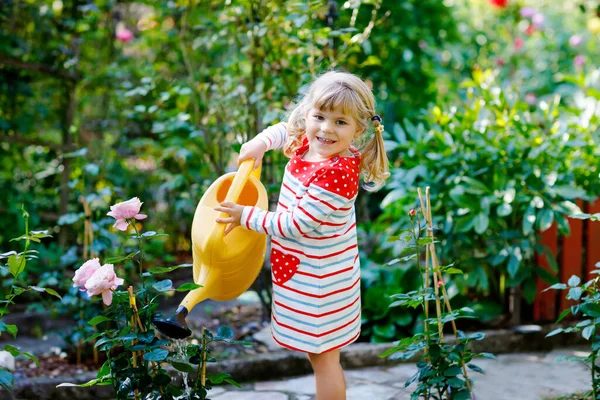 Krásné malé batole dívka v červené barevné šaty zalévání kvetoucí růže květiny s dětmi voda může. Happy child helping in family garden, outdoors on warm sunny bright day. — Stock fotografie