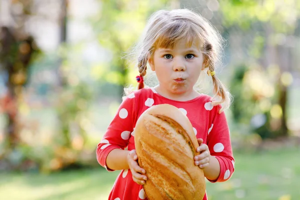 パンの大きなパンを持っている小さな幼児の女の子。面白い幸せな子供をかむと健康的なパンを食べ、屋外。お腹が空いた子. — ストック写真