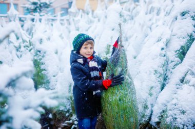 Gülen çocuk elinde Noel ağacı tutuyor. Kışın giyinmiş mutlu çocuk, karlı kış gününde kostüm dükkanında Noel ağacı seçiyor ve satın alıyor. Aile, gelenek, kutlama.