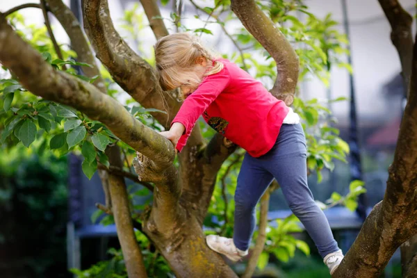 Little toddler girl climbing on tree on family backyard. Lovely happy child hanging on magnolia tree, active games with children outdoors. — Stock Photo, Image