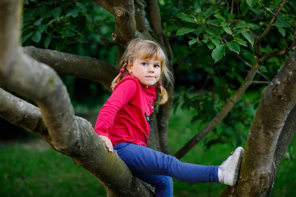 Kleines Kleinkind klettert auf Baum im Hinterhof der Familie. Schöne glückliche Kind hängen an Magnolienbaum, aktive Spiele mit Kindern im Freien. — Stockfoto