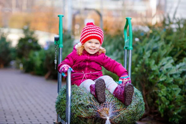 Αξιολάτρευτο κοριτσάκι με χριστουγεννιάτικο δέντρο σε καρότσι ή τρόλεϊ στην αγορά. Ευτυχισμένο υγιές μωρό παιδί το χειμώνα ρούχα μόδας επιλέγοντας και αγοράζοντας μεγάλο χριστουγεννιάτικο δέντρο σε υπαίθριο κατάστημα. — Φωτογραφία Αρχείου