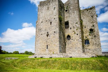 İrlanda, Boyne Nehri 'ndeki County Meath' deki Trim kalesinin panoramik görüntüsü. İrlanda 'daki en büyük Anglo-Norman kalesidir.