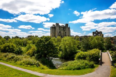 İrlanda, Boyne Nehri 'ndeki County Meath' deki Trim kalesinin panoramik görüntüsü. İrlanda 'daki en büyük Anglo-Norman kalesidir.
