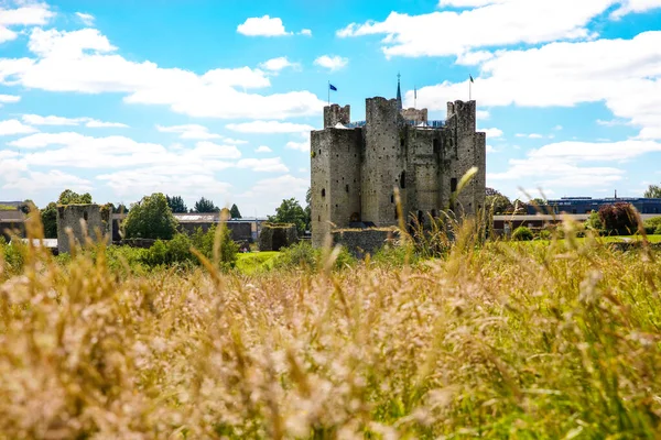 A panorámás kilátás nyílik Trim kastély Megyei Meath a folyó Boyne, Írország. Ez Írország legnagyobb angol-normann kastélya. — Stock Fotó