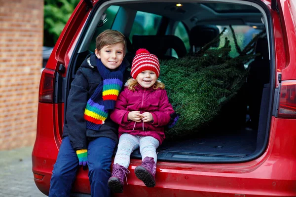 Menina pequena adorável da criança e menino da escola com árvore de Natal dentro do carro da família. Crianças saudáveis felizes em roupas de moda de inverno comprando grande árvore de Natal para a celebração tradicional. — Fotografia de Stock