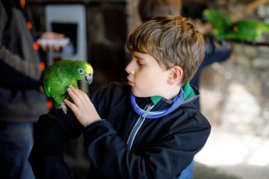 Hayvanat bahçesinde papağanları besleyen yakışıklı okul çocuğu. Çocuk hayvanat bahçesinde ve vahşi yaşam parkında güvenen dost kuşlarla oynuyor ve besleniyor. Çocuklar yabani hayatı ve papağanı öğreniyor..