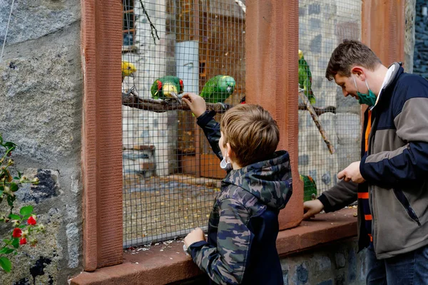 Chłopiec i jego ojciec karmią papugi w ogrodzie zoologicznym. Dziecko i mężczyzna w średnim wieku bawią się i karmią ufnymi, przyjaznymi ptakami w zoo. Wypoczynek rodzinny, wspólne spędzanie czasu. — Zdjęcie stockowe