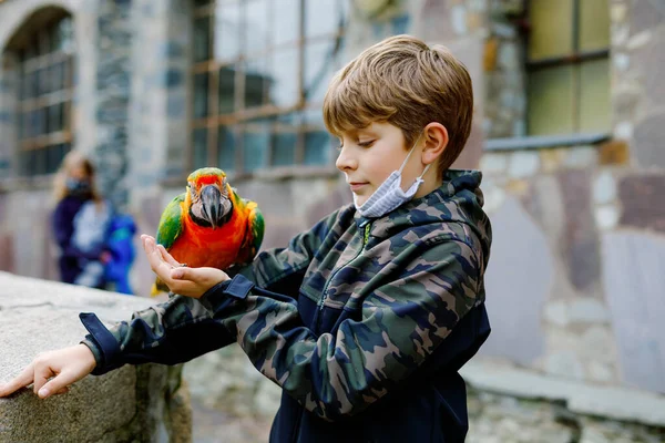 Gorgeous school kid boy feeding parrots in zoological garden. Child with medical mask feed trusting friendly birds in zoo and wildlife park. Children learning about wildlife and parrot.
