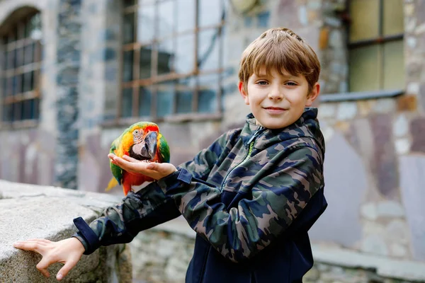 Gorgeous school kid boy feeding parrots in zoological garden. Child playing and feed trusting friendly birds in zoo and wildlife park. Children learning about wildlife and parrot.