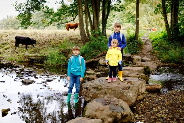 Tres niños haciendo senderismo en el bosque. Dos niños y una niña que pasa por Creek. Felices niños sanos divirtiéndose en la naturaleza, pasando vacaciones en familia, al aire libre en otoño o día de verano —  Fotos de Stock